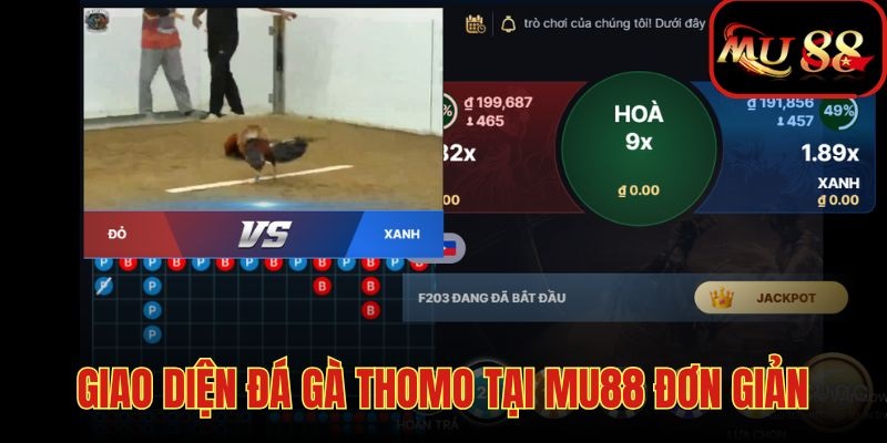 Giao diện cá cược đấu gà Thomo thao tác dễ dàng