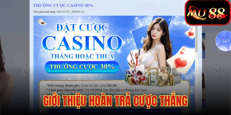 Thông tin về hoạt động hoàn trả khi thành viên chơi thắng