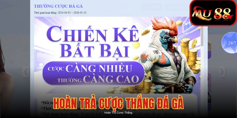 Tìm hiểu về hoạt động hoàn trả tại sảnh đá gà nhà cái MU88