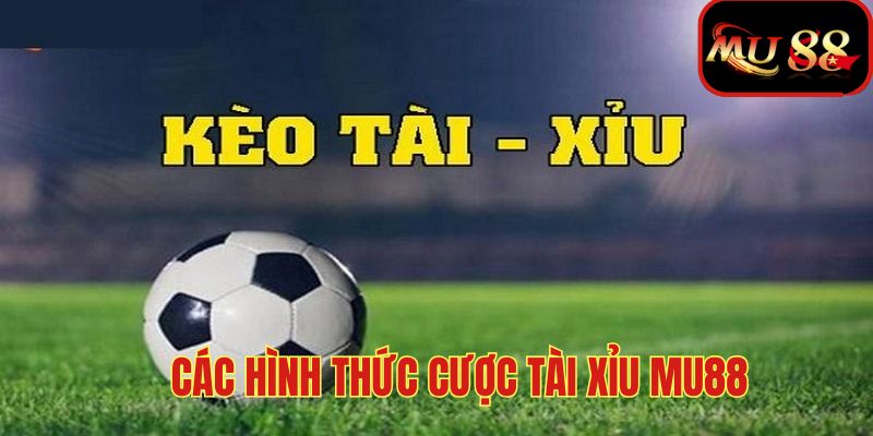 Các hình thức cược tài xỉu MU88