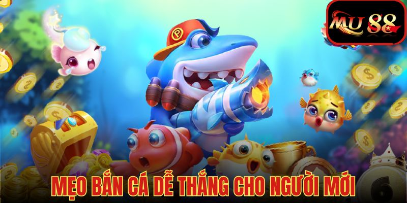 Cách bắt đầu chơi bắn cá dễ thu tiền thưởng cho người mới